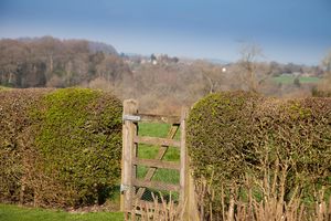 Rear Access Gate - click for photo gallery